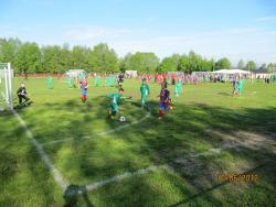 IMG_1147.jpg