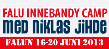 Falu Jihde innebandy camp