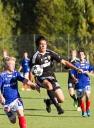 U17 Allsvenskan mellersta 2013