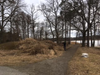 Vassuppsamlingsplats