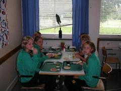 Gott med mat