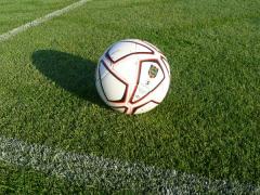 En helt osannolikt bra gräsplan! Man kunde tro att det var konstgräs.