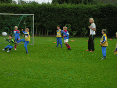 Kärrdal avvärjer ett skott på mål.